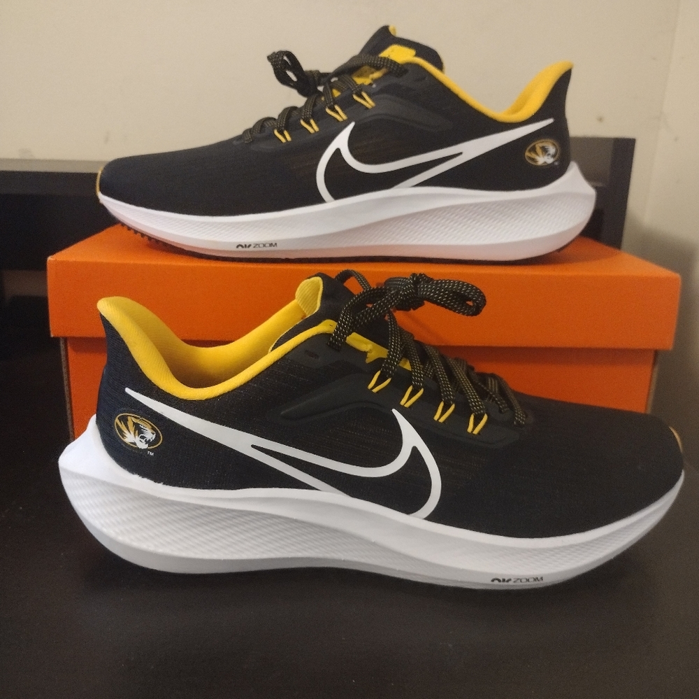 Nike pegasus 39
